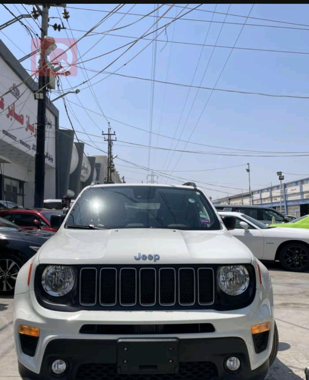 جيب رينيجيد